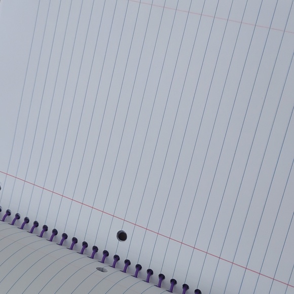 HTF New  Lisa Frank Spiral School 1 Subject Notebook - Picture 5 of 6